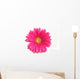 Pink Gerbera
