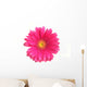 Pink Gerbera