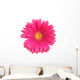 Pink Gerbera