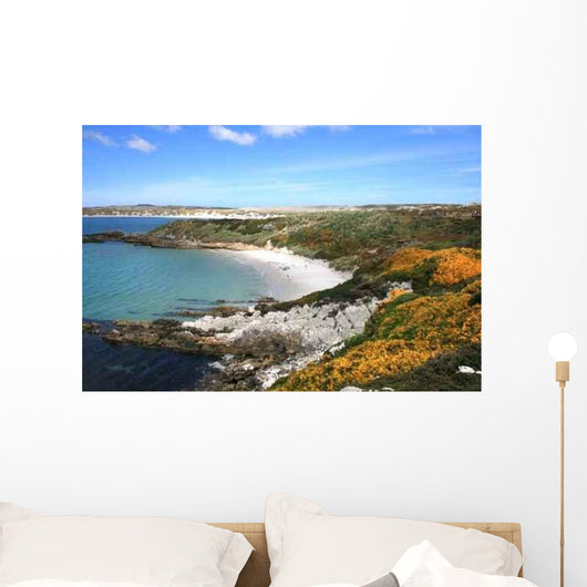 Falkland Inseln Yorke Bay Wall Decal