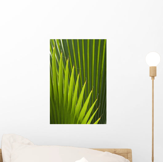 Detail Palm Tree Grenada Wall Decal