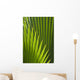Detail Palm Tree Grenada Wall Decal