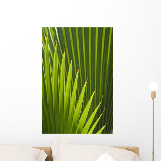 Detail Palm Tree Grenada Wall Decal