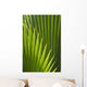 Detail Palm Tree Grenada Wall Decal