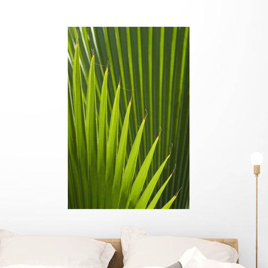 Detail Palm Tree Grenada Wall Decal