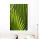 Detail Palm Tree Grenada Wall Decal