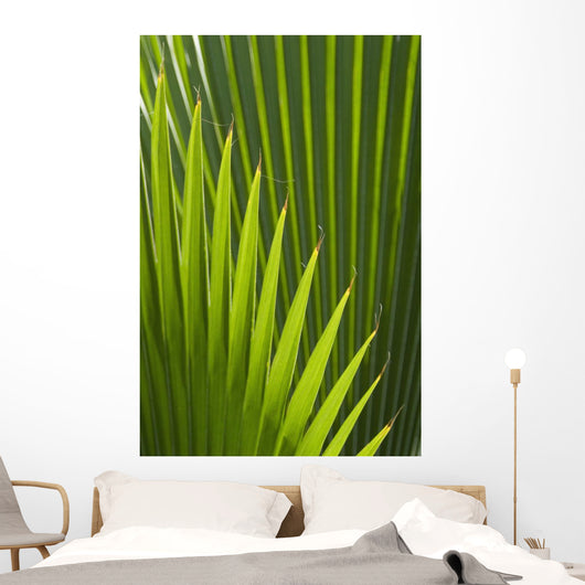 Detail Palm Tree Grenada Wall Decal