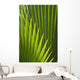 Detail Palm Tree Grenada Wall Decal