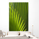 Detail Palm Tree Grenada Wall Decal