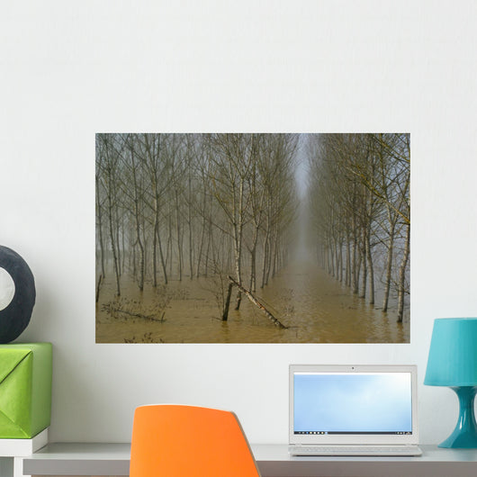 Plantation Wall Mural