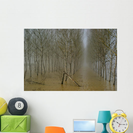 Plantation Wall Mural