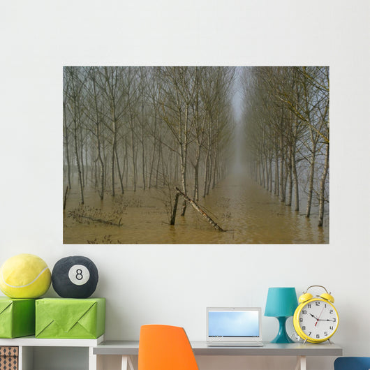 Plantation Wall Mural