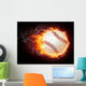 Baseball Ball Wall Mural