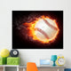 Baseball Ball Wall Mural