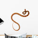 Couleuvre Fond Blanc Wall Mural