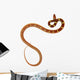 Couleuvre Fond Blanc Wall Mural