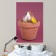 bÃ©bÃ© cobaye dans un pot de fleur Wall Mural
