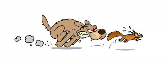 Dog Chasing Squirrel Wall Decal