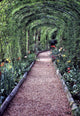 Tessin Wall Mural