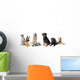 Groupe De Chiens Wall Decal