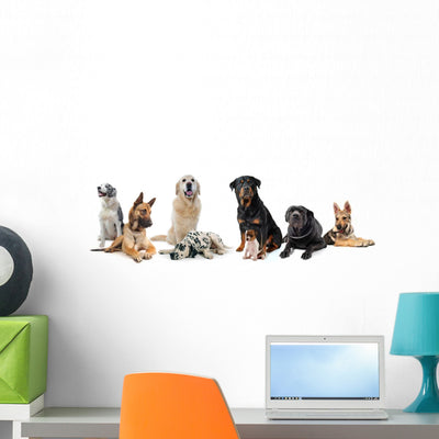 Groupe Chiens Wall Decal shown on a wall