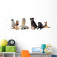 Groupe De Chiens Wall Decal