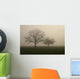 nebel im feld Wall Mural