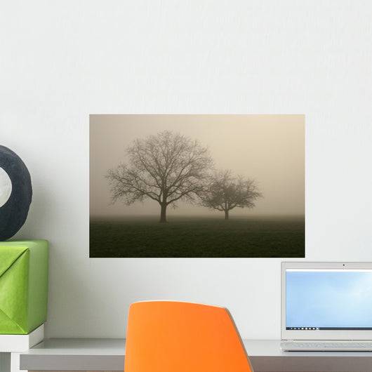 nebel im feld Wall Mural