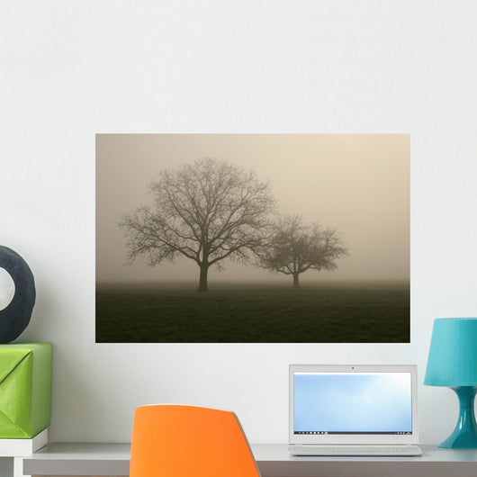 nebel im feld Wall Mural