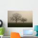 nebel im feld Wall Mural