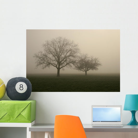 nebel im feld Wall Mural