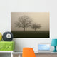 nebel im feld Wall Mural