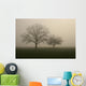 nebel im feld Wall Mural