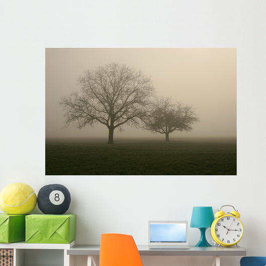 nebel im feld Wall Mural