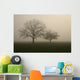 nebel im feld Wall Mural