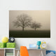 nebel im feld Wall Mural