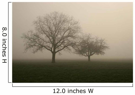 nebel im feld Wall Mural