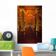 Looking Wall Decal