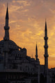 Turkey Sultanahmet or Blue Wall Decal 2