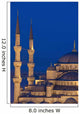 Turkey Sultanahmet or Blue Wall Decal 1