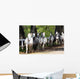 Lipizzan Horses