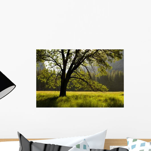 Summer Forest Wall Decal