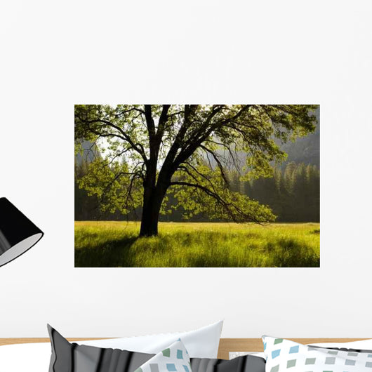 Summer Forest Wall Decal