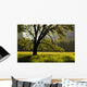 Summer Forest Wall Decal