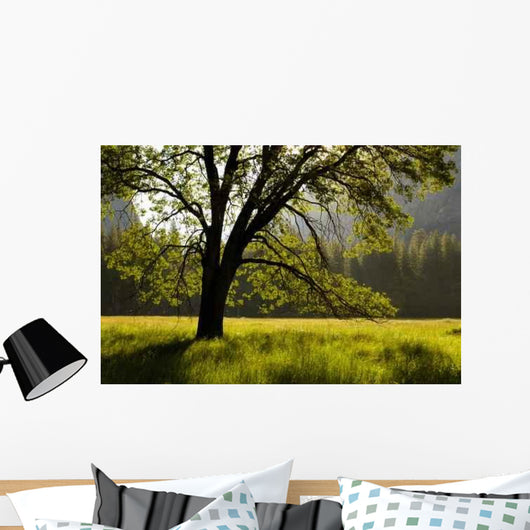 Summer Forest Wall Decal