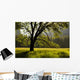 Summer Forest Wall Decal