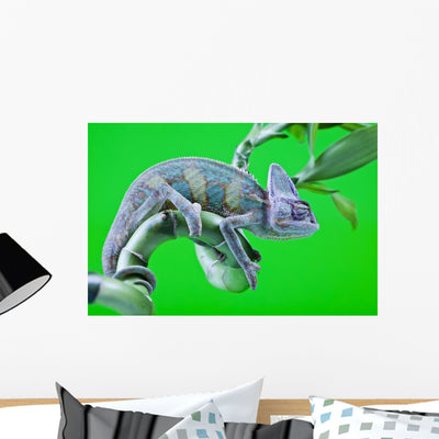 Chameleon Wall Mural shown on a wall