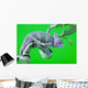 Chameleon Wall Mural