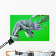 Chameleon Wall Mural