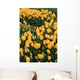Tulip Period Istanbul Wall Mural